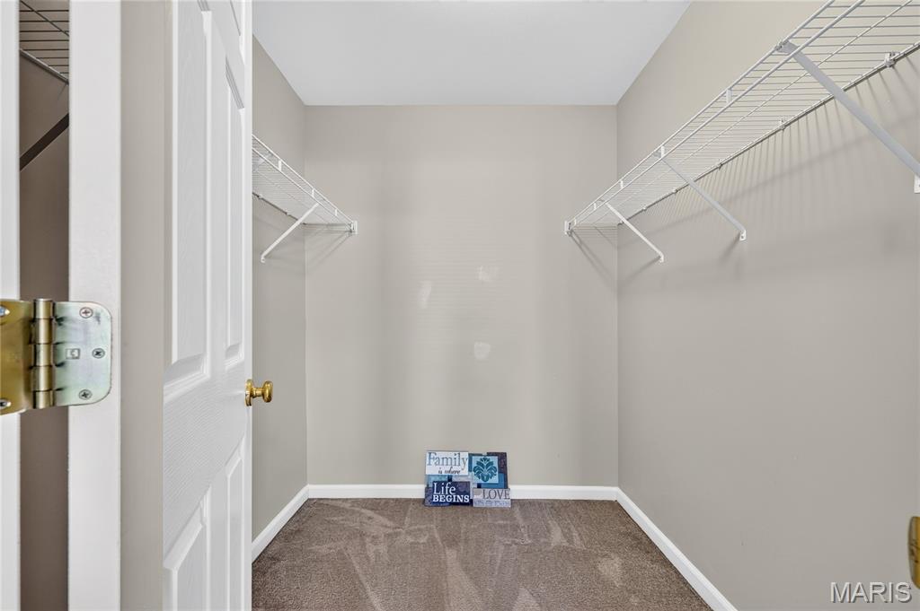 203 Sword Lily Drive Property Photo 23