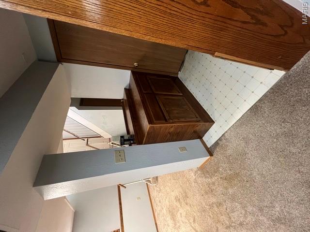 207 Serenity Place Court Property Photo 19