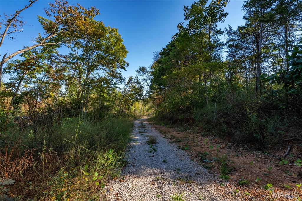 4 Mill Street Property Photo 19