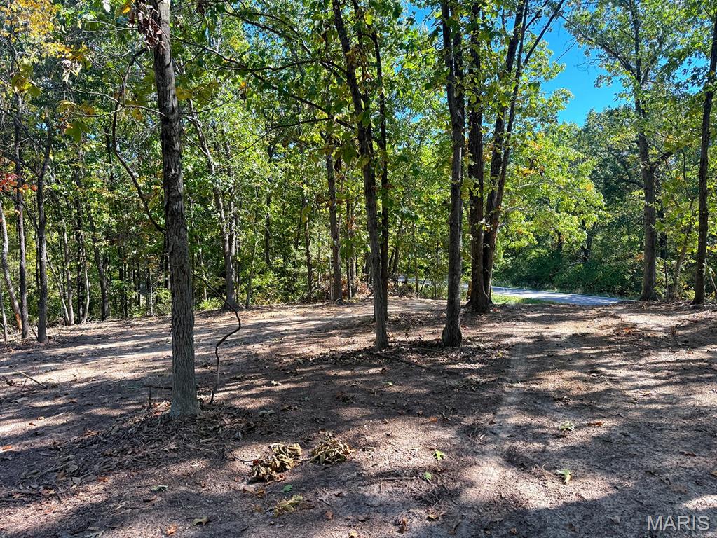 00 Highway Y (34 Ac) Road Property Photo 2