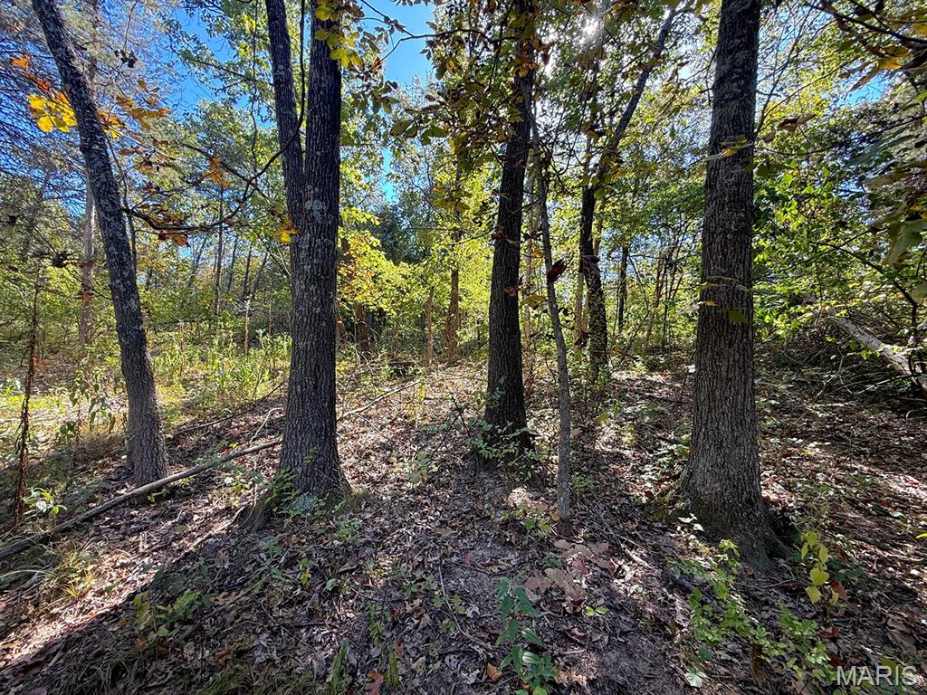 00 Highway Y (34 Ac) Road Property Photo 5