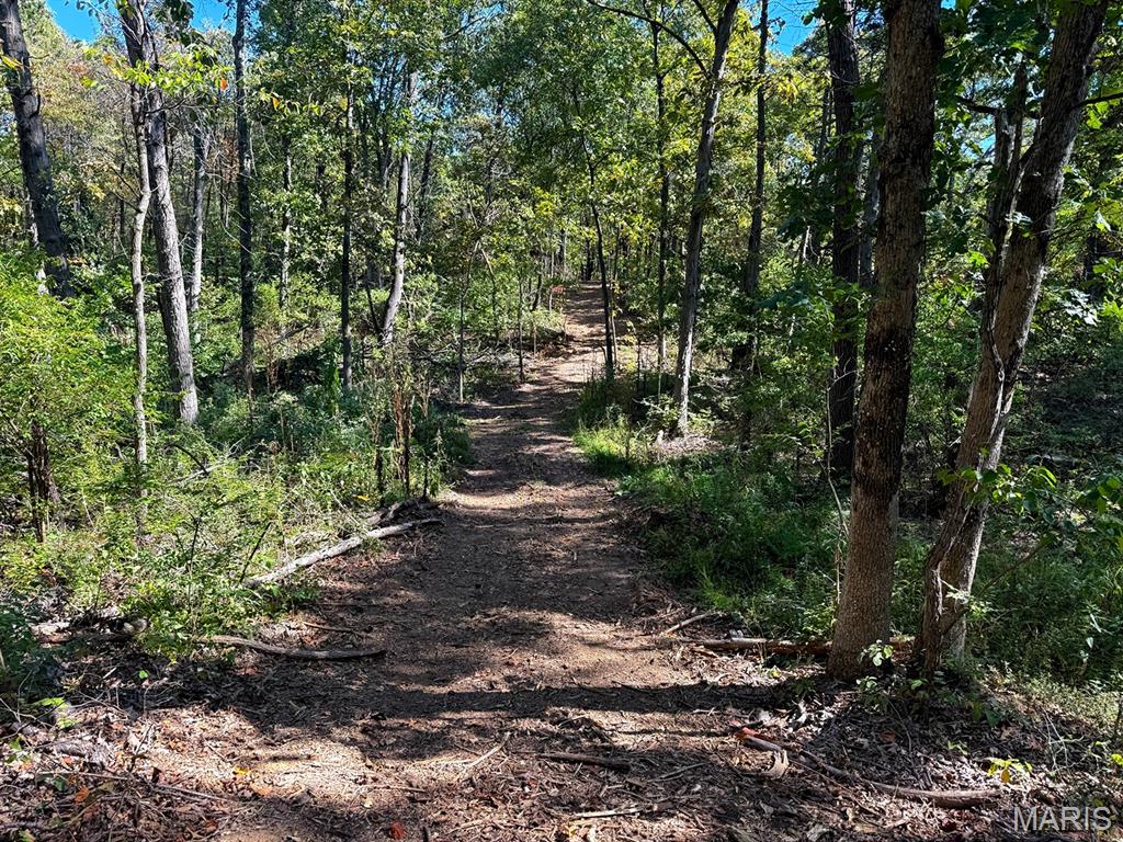 00 Highway Y (34 Ac) Road Property Photo 6