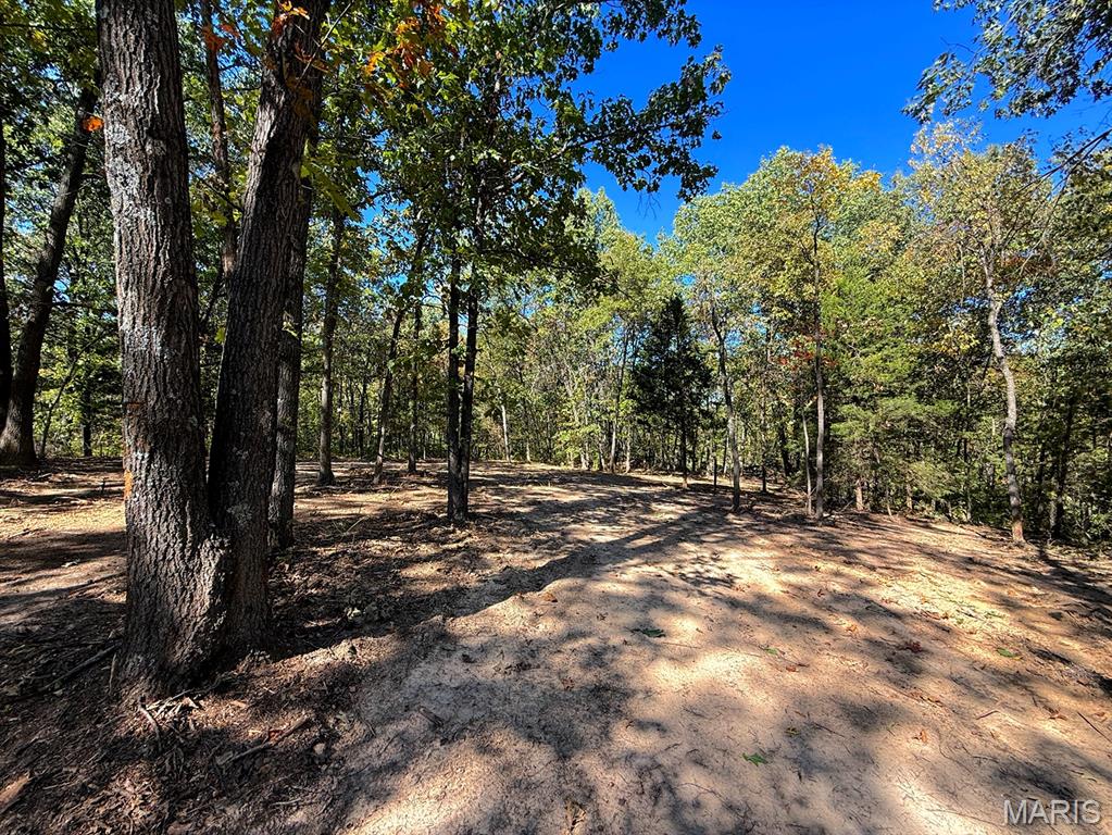 00 Highway Y (34 Ac) Road Property Photo 7