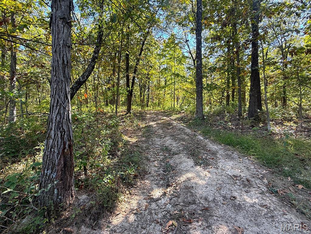 00 Highway Y (34 Ac) Road Property Photo 8