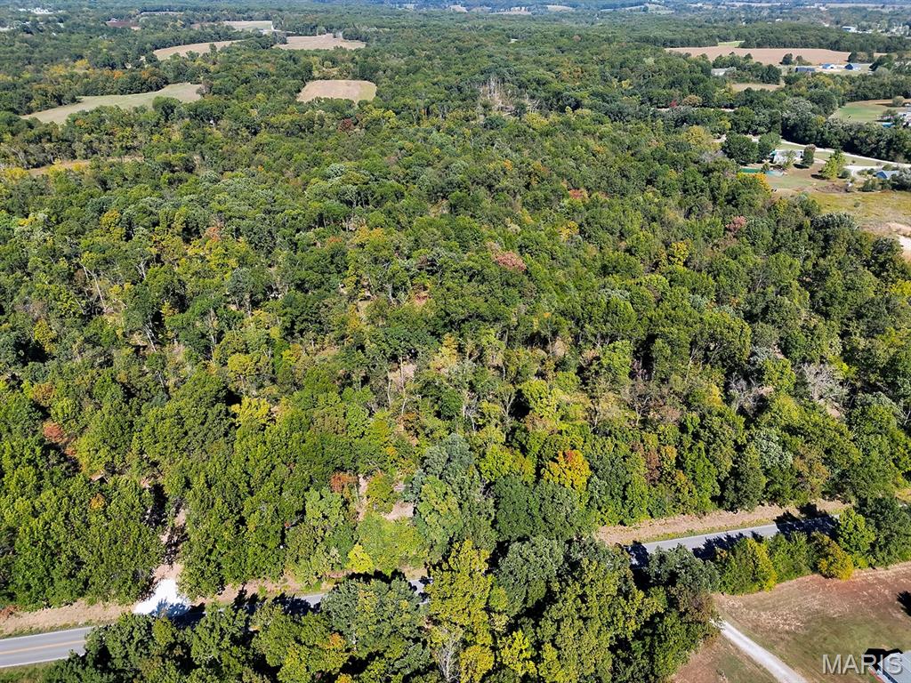 00 Highway Y (34 Ac) Road Property Photo 9