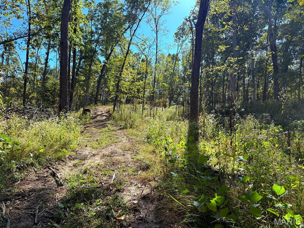 00 Highway Y (34 Ac) Road Property Photo 11