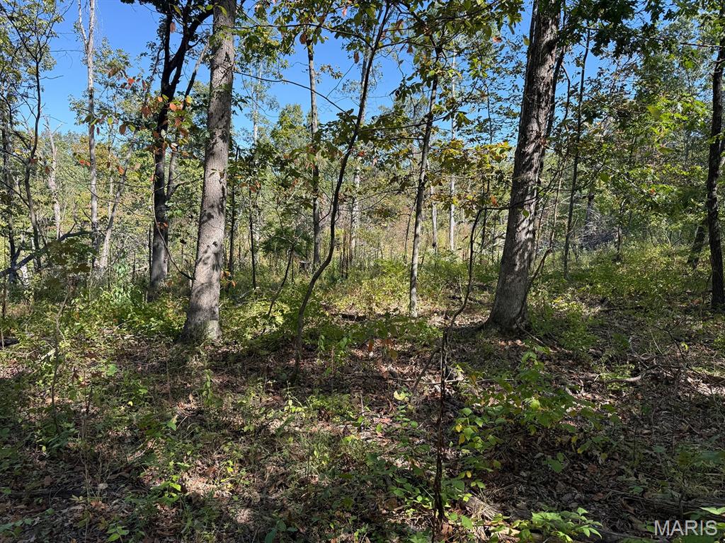 00 Highway Y (34 Ac) Road Property Photo 12