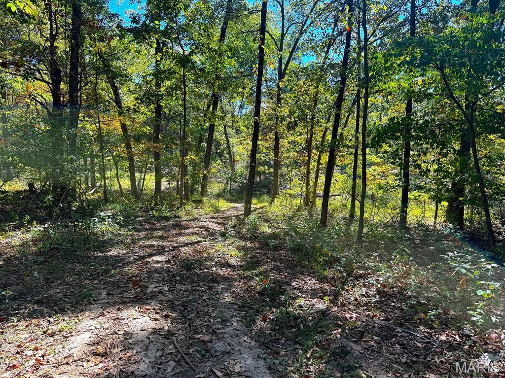 00 Highway Y (34 Ac) Road Property Photo 13