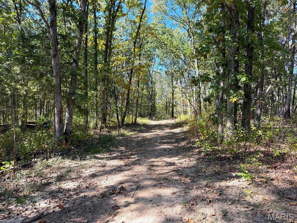 00 Highway Y (34 Ac) Road Property Photo 14