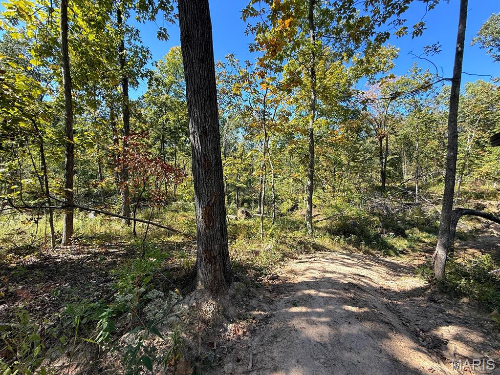 00 Highway Y (34 Ac) Road Property Photo 15