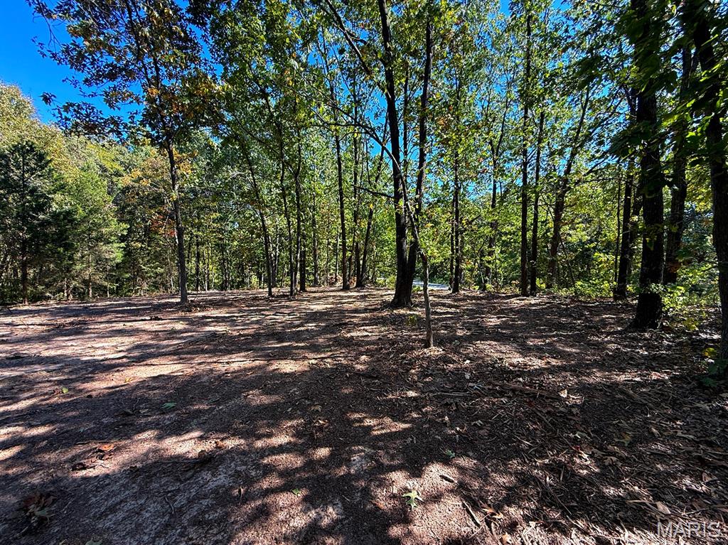 00 Highway Y (34 Ac) Road Property Photo 16