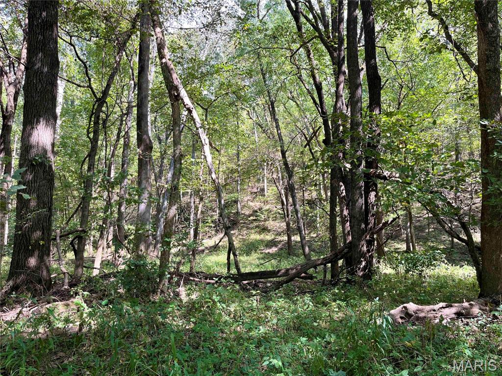 00 Bowen Cemetery Road Property Photo 4