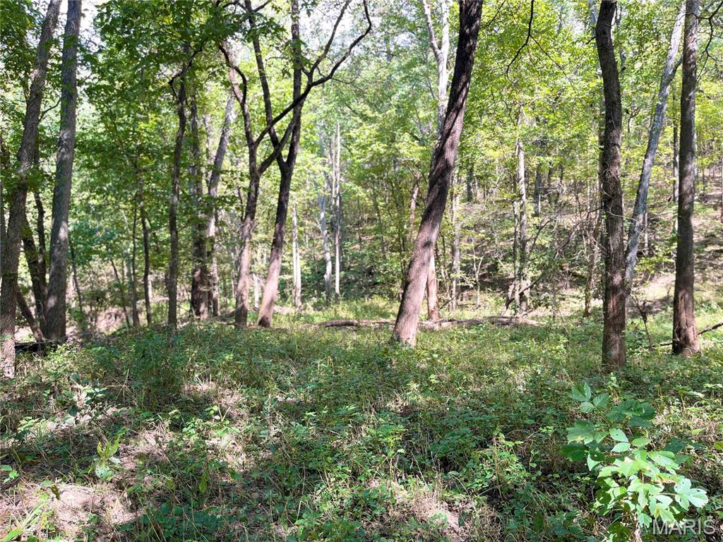 00 Bowen Cemetery Road Property Photo 5