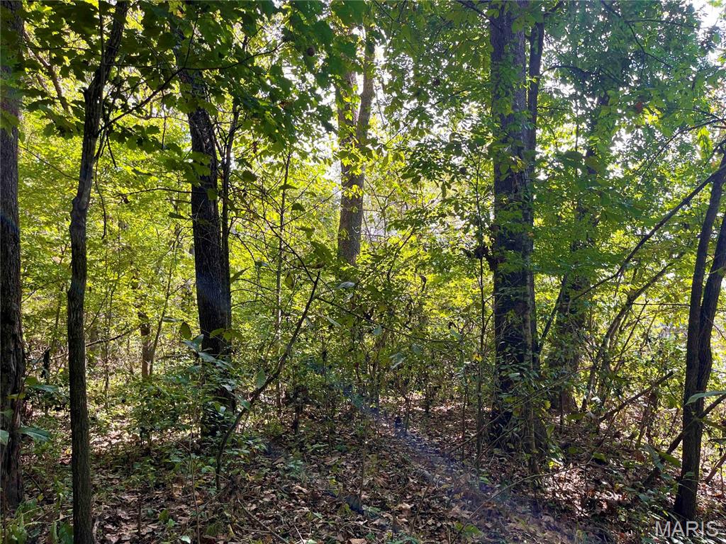 00 Bowen Cemetery Road Property Photo 10