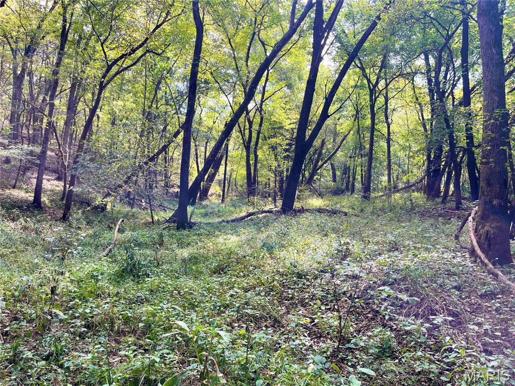 00 Bowen Cemetery Road Property Photo 15