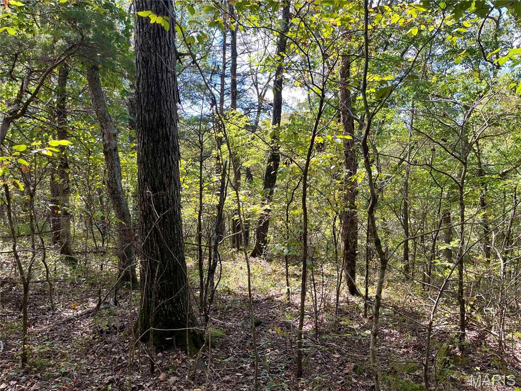 00 Bowen Cemetery Road Property Photo 32