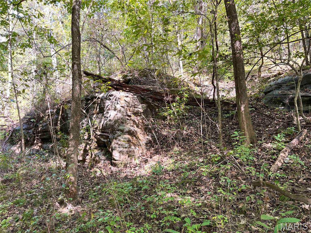 00 Bowen Cemetery Road Property Photo 35