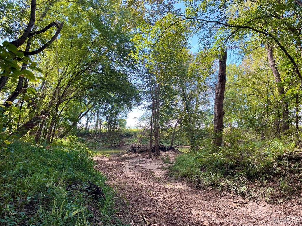 00 Bowen Cemetery Road Property Photo 38