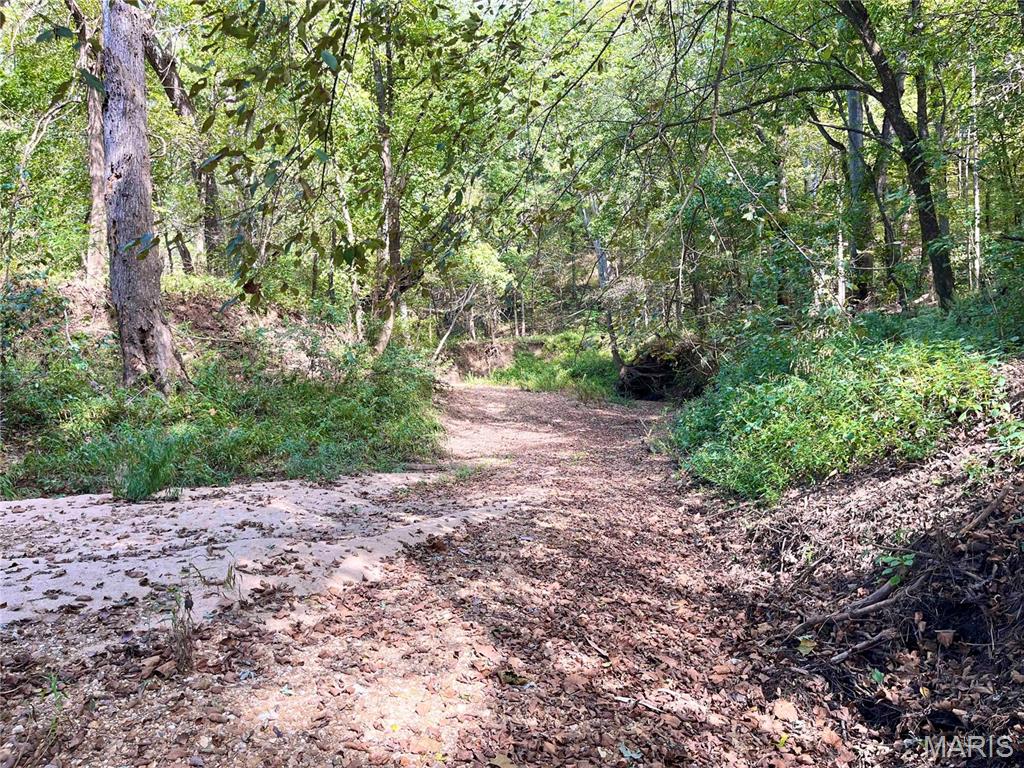 00 Bowen Cemetery Road Property Photo 40