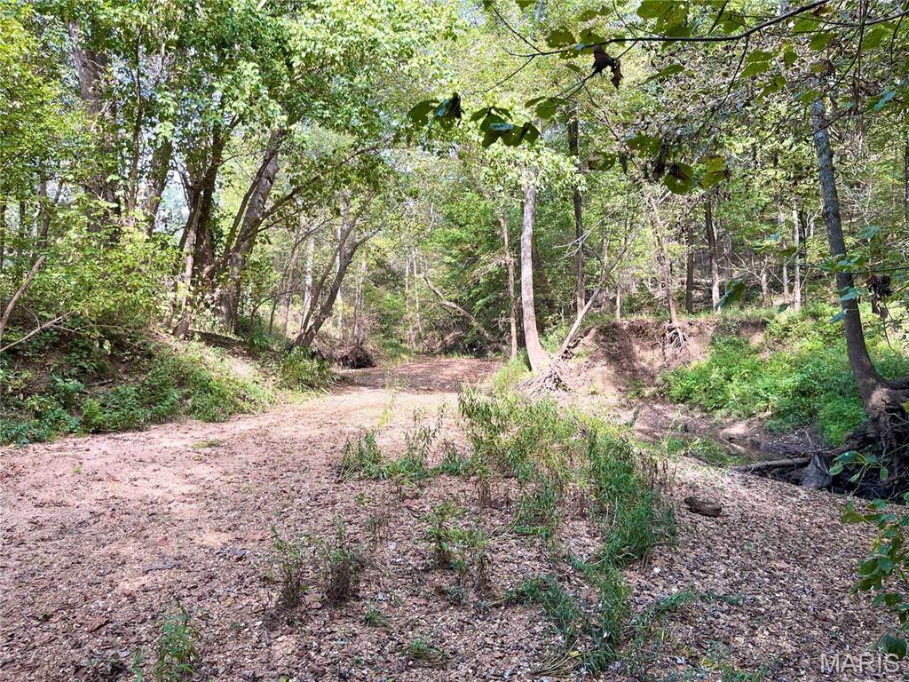 00 Bowen Cemetery Road Property Photo 42