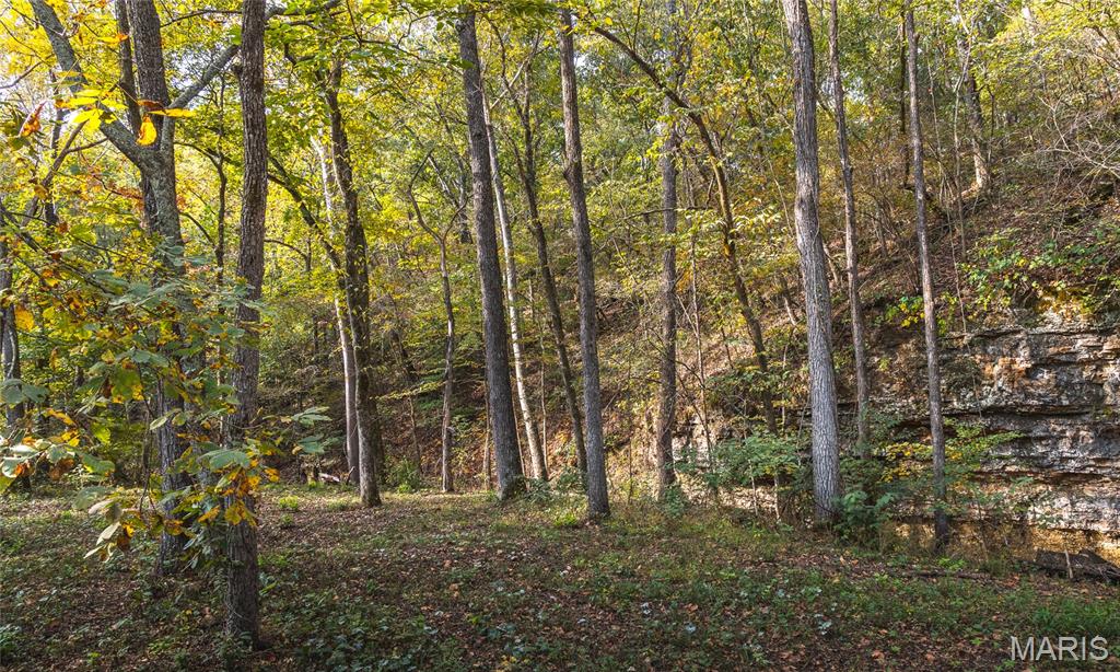 000 Long Spring Tract 2 Property Photo 3