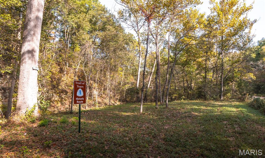 000 Long Spring Tract 2 Property Photo 4