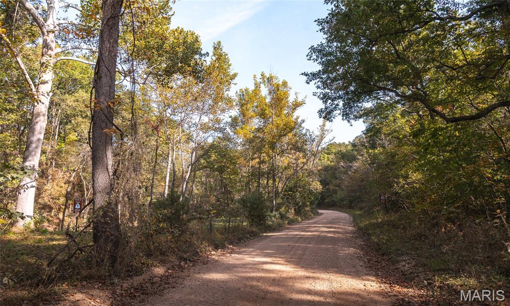 000 Long Spring Tract 2 Property Photo 7