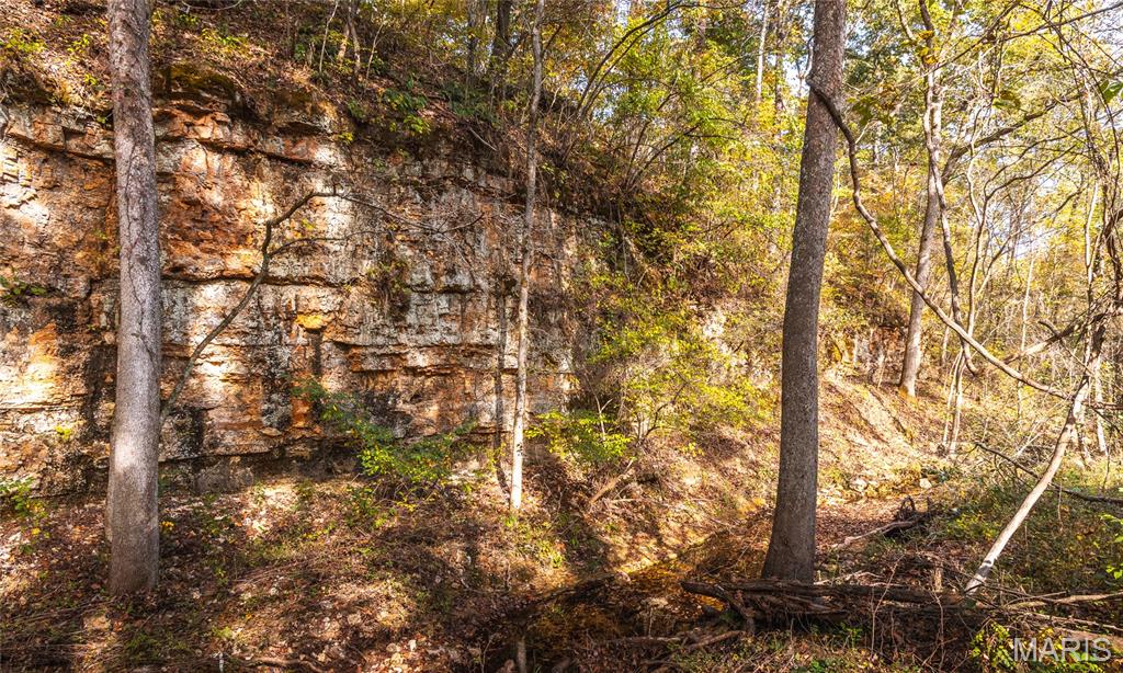 000 Long Spring Tract 2 Property Photo 9