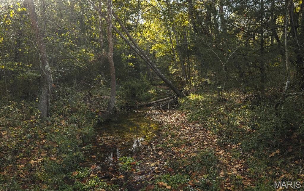 000 Long Spring Tract 2 Property Photo 12