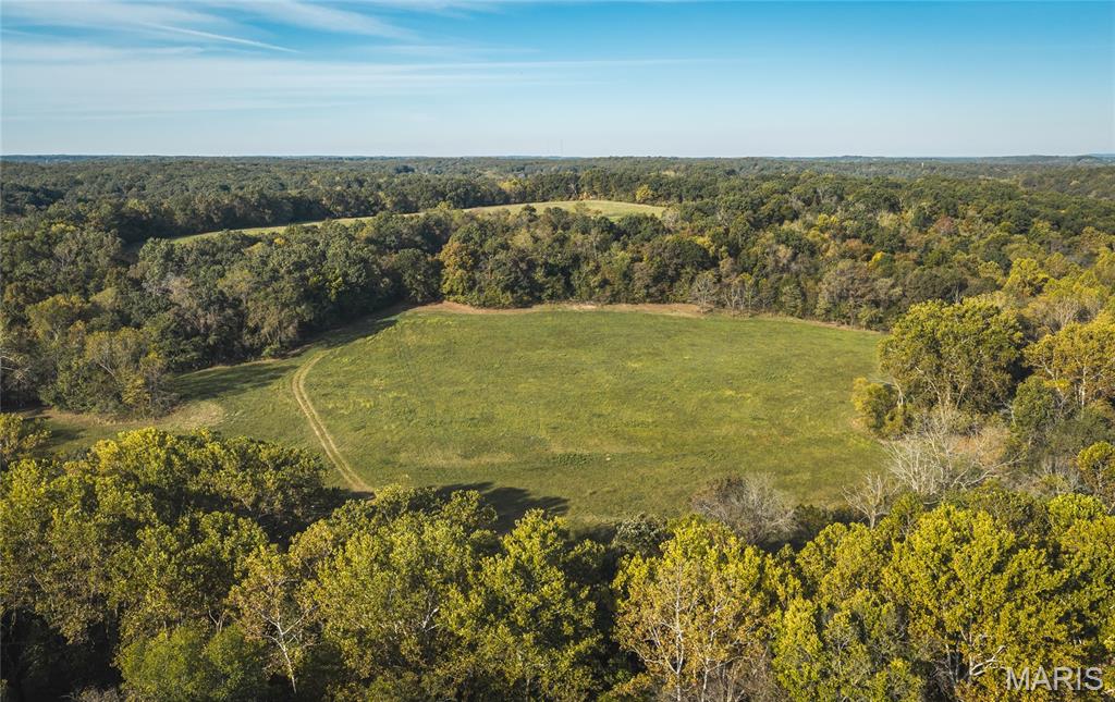000 Long Spring Tract 2 Property Photo 21