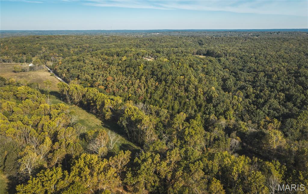 000 Long Spring Tract 2 Property Photo 22