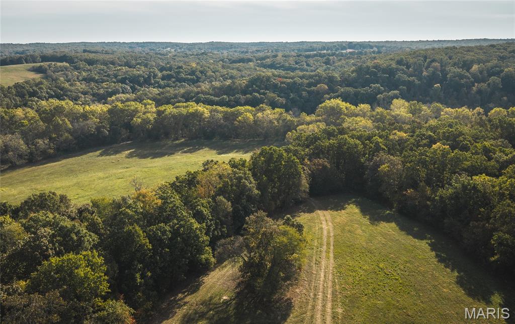 000 Long Spring Tract 2 Property Photo 25