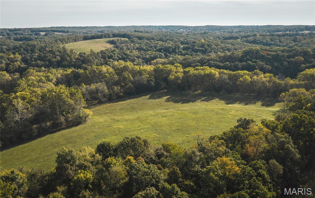 000 Long Spring Tract 2 Property Photo 26