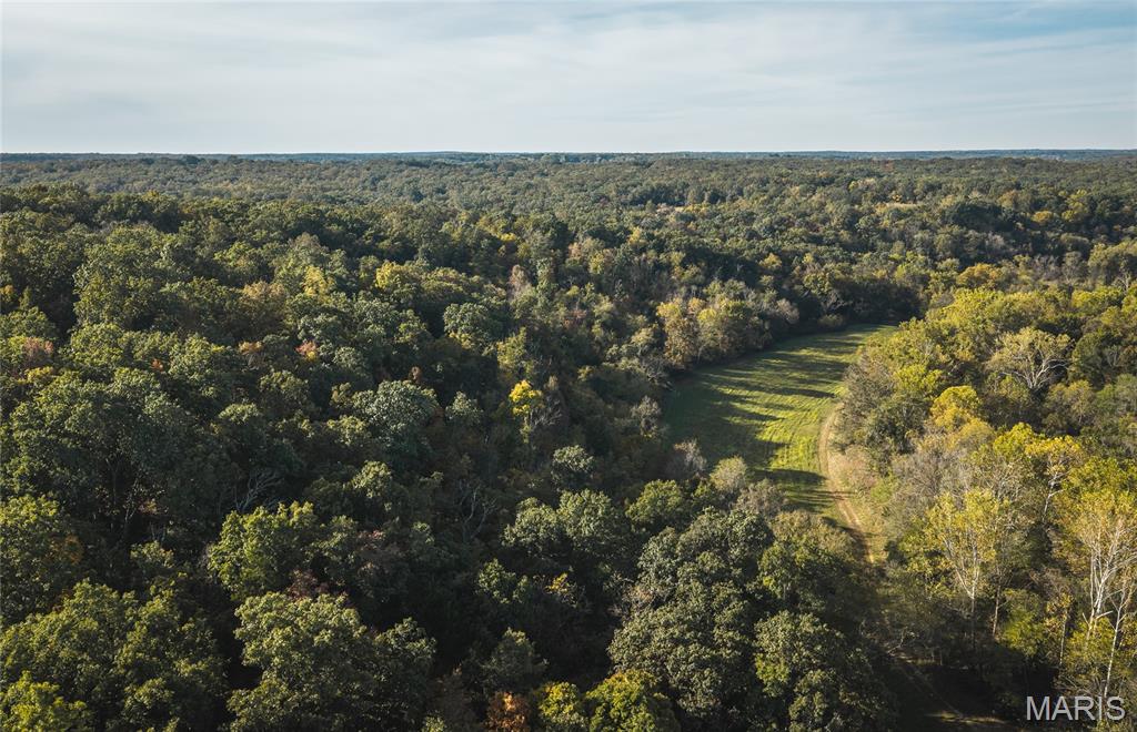 000 Long Spring Tract 2 Property Photo 31