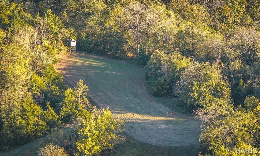 14509 Highway Yy Property Photo 61