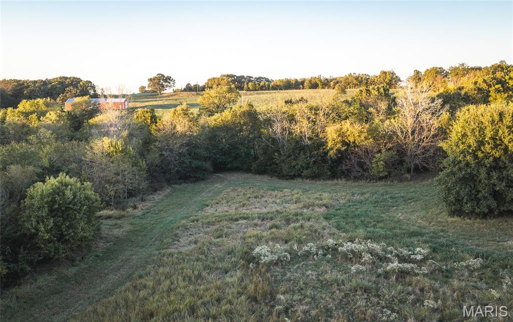 14509 Highway Yy Property Photo 69