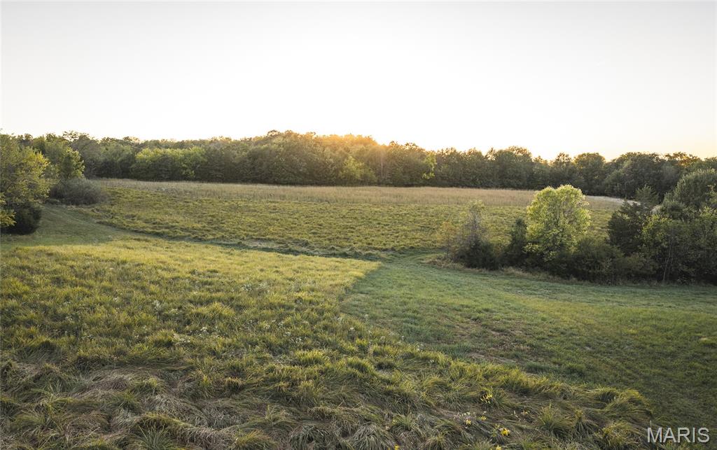 14509 Highway Yy Property Photo 70