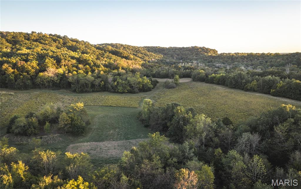 14509 Highway Yy Property Photo 71