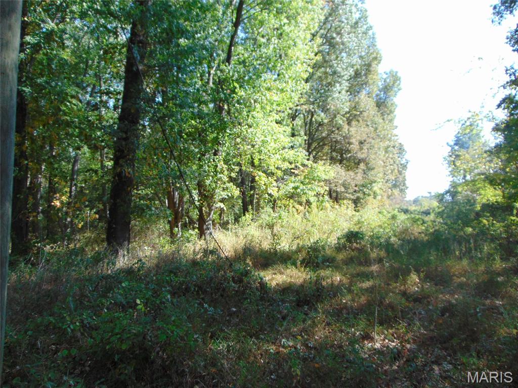 0000 Champaign Road Property Photo 1