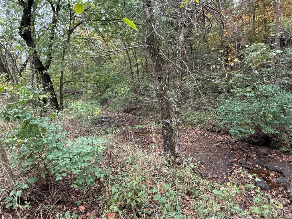 18255 County Road 8260 Property Photo 9