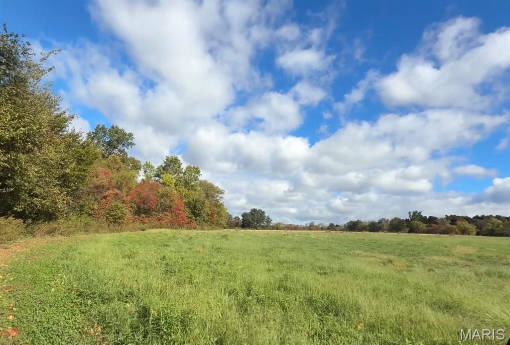 1617 Sneak Road Property Photo 1
