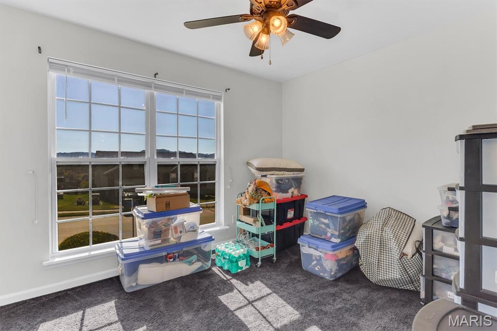 1065 Remington Property Photo 26