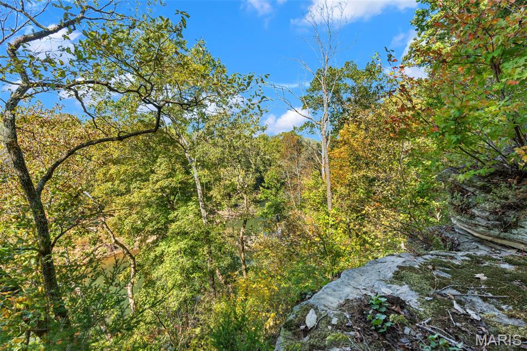 6411 Evergreen Loop Property Photo 11