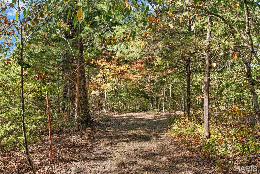 6411 Evergreen Loop Property Photo 70