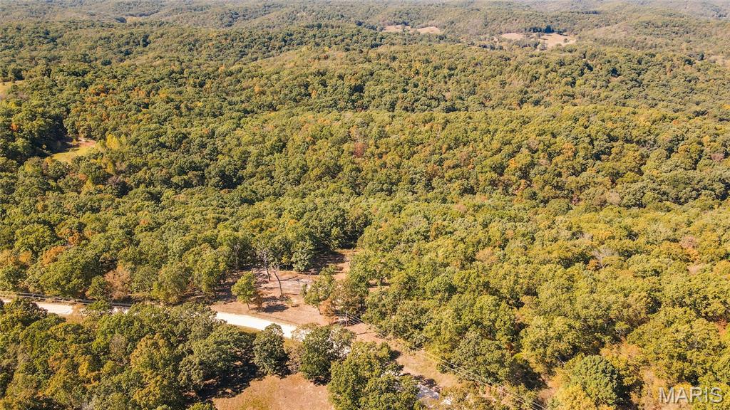 1785 Tranquil Woods Property Photo 4