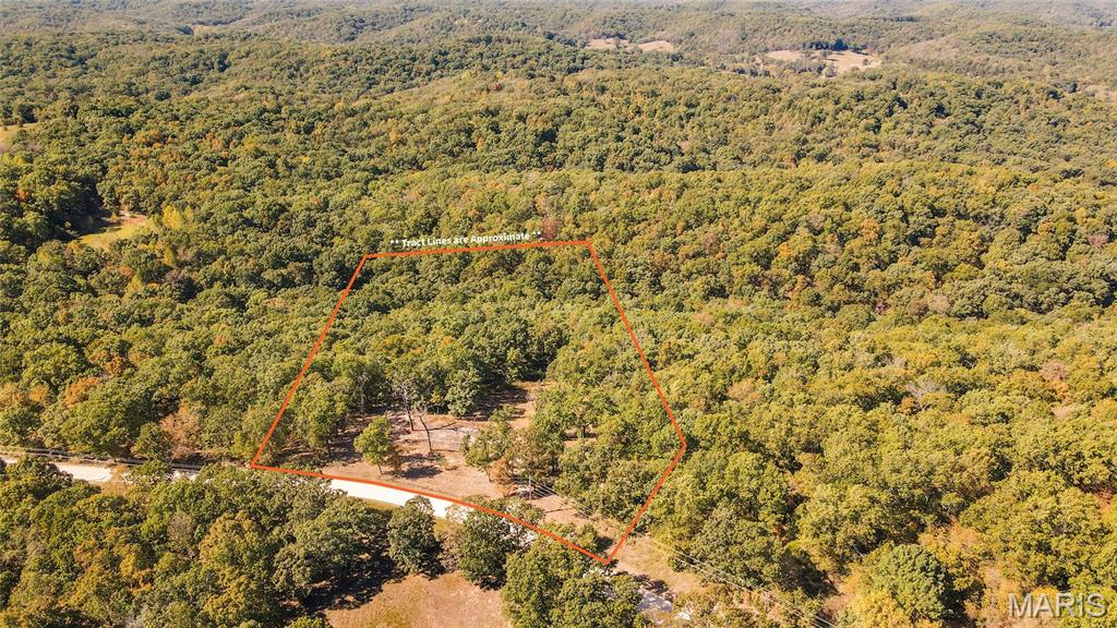 1785 Tranquil Woods Property Photo 5