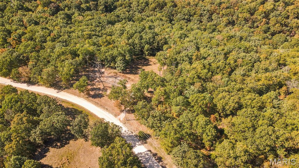1785 Tranquil Woods Property Photo 6