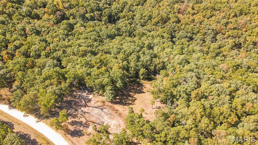 1785 Tranquil Woods Property Photo 7
