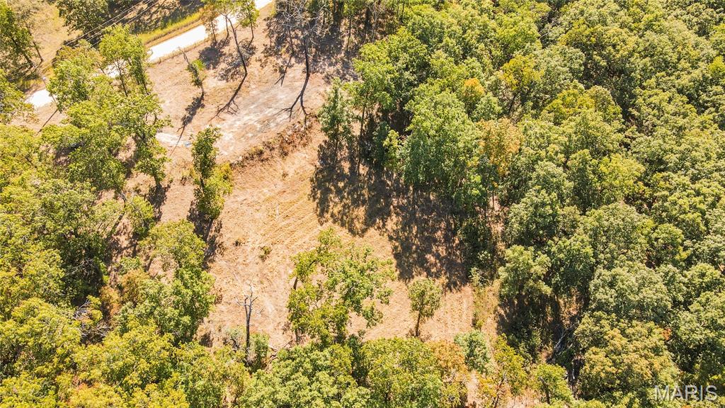 1785 Tranquil Woods Property Photo 9