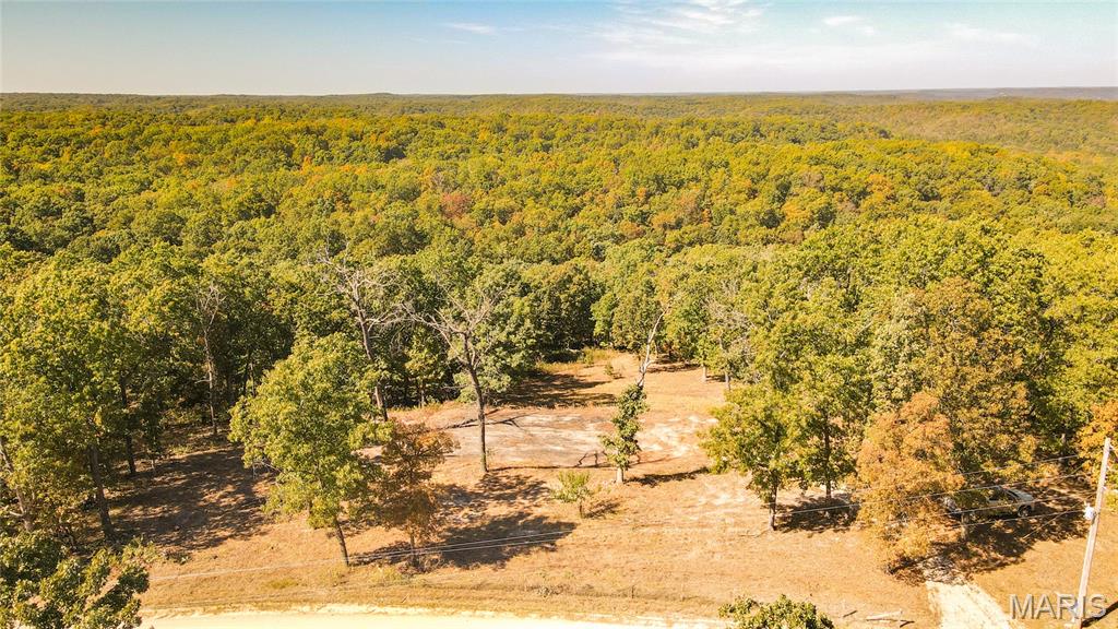 1785 Tranquil Woods Property Photo 11